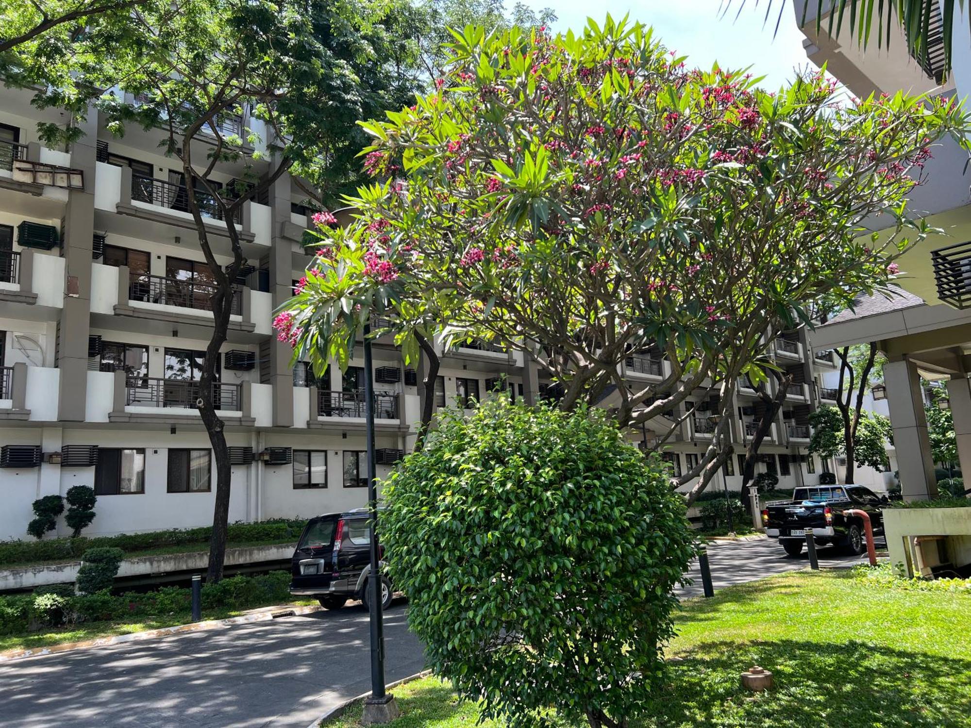 Stunning 2BR Unit at Rosewood Pointe Residences near BGC Manila Eksteriør billede